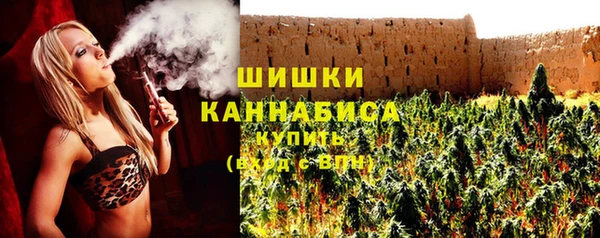 ПСИЛОЦИБИНОВЫЕ ГРИБЫ Балабаново