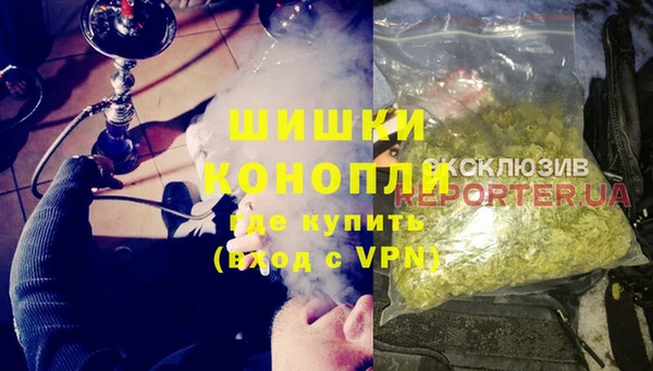 ПСИЛОЦИБИНОВЫЕ ГРИБЫ Балабаново