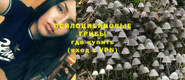 прущая мука Балахна