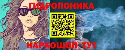 прущие крисы Кандалакша