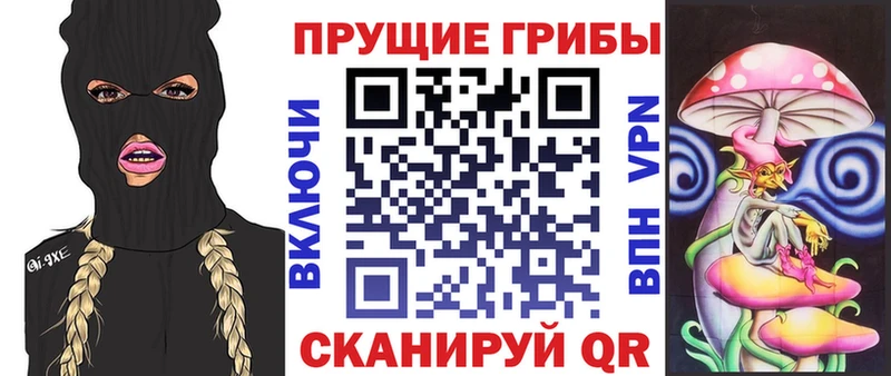купить наркоту  Заречный  Псилоцибиновые грибы Psilocybine cubensis 