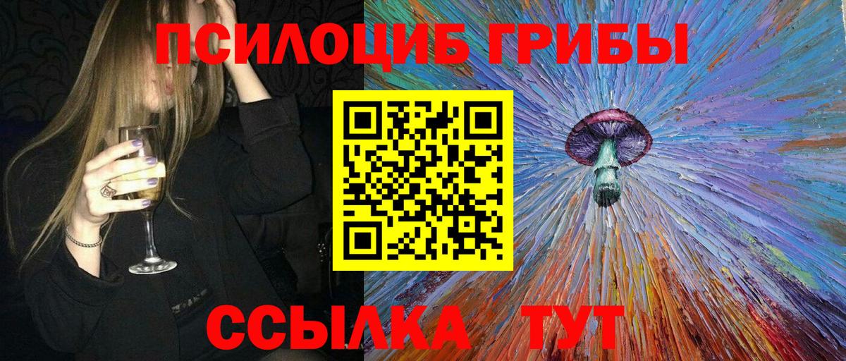 Псилоцибиновые грибы Psilocybe Заречный